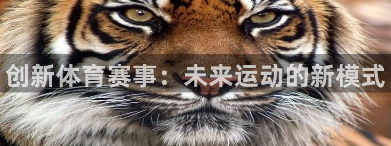 球友体育是什么：创新体育赛事：未来运动的新模式