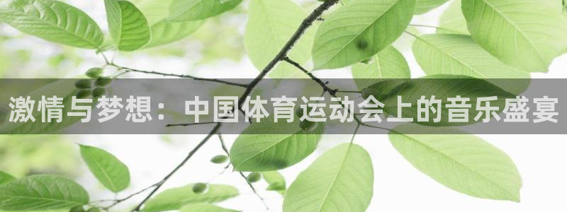 球友体育软件