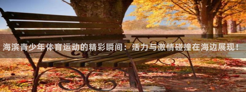 球友体育官网下载