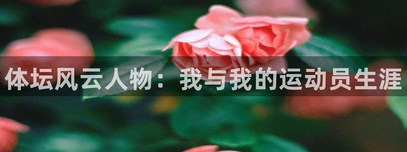 球友体育入1335 top：体坛风云人物：我与我的运动员生涯