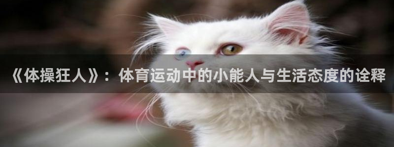 球友体育官方网站