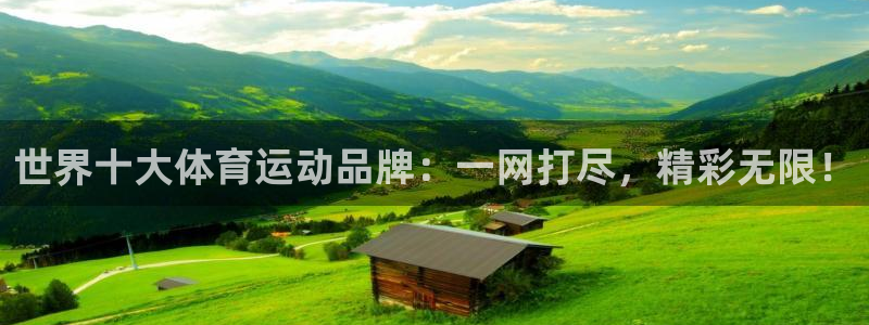 球友体育免费下载：世界十大体育运动品牌：一网打尽，精彩无限！