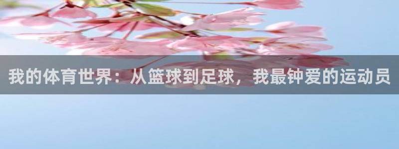 球友体育下载入口官方网站：我的体育世界：从篮球到足球，我最钟爱的运动员