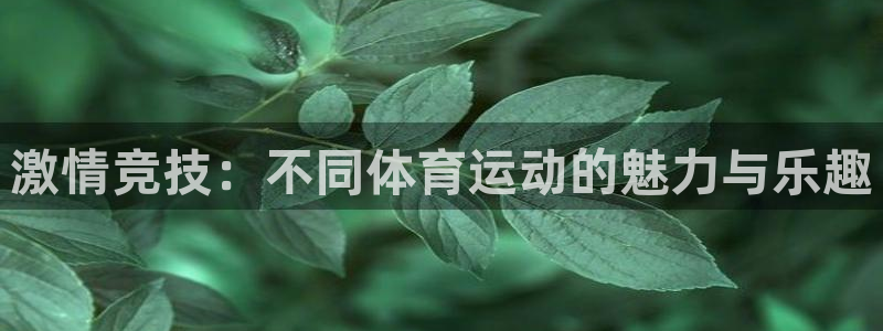 球友体育官网下载手机版