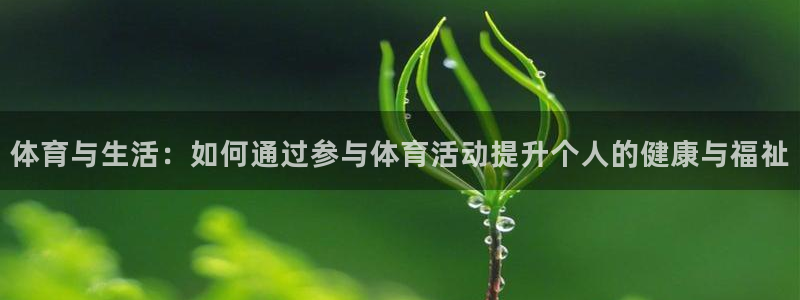 球友体育官网下载：体育与生活：如何通过参与体育活动提升个人的健康与福祉