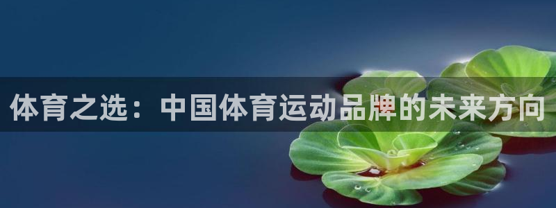 球友体育nba：体育之选：中国体育运动品牌的未来方向